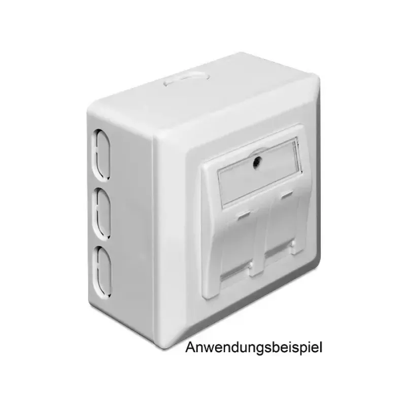 Scatola di derivazione elettrica DeLOCK 86128