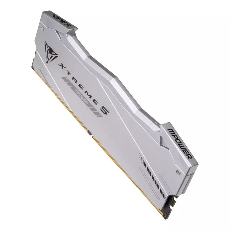 Patriot Viper Gaming RGB XTREME 5 DDR5-6000 RAM, CL 30, Intel XMP 3.0 - 48GB Dual-Kit, argento
