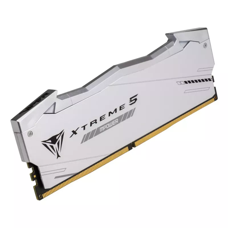Patriot Viper Gaming RGB XTREME 5 DDR5-6000 RAM, CL 30, Intel XMP 3.0 - 48GB Dual-Kit, argento