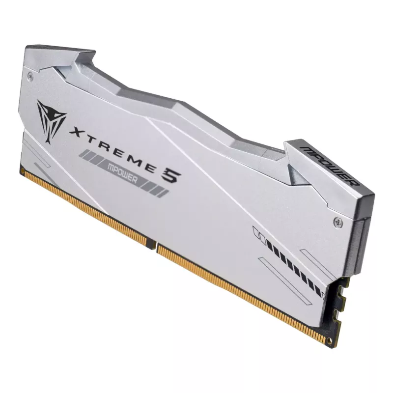 Patriot Viper Gaming RGB XTREME 5 DDR5-6000 RAM, CL 30, Intel XMP 3.0 - 48GB Dual-Kit, argento