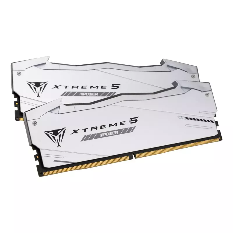 Patriot Viper Gaming RGB XTREME 5 DDR5-6000 RAM, CL 30, Intel XMP 3.0 - 48GB Dual-Kit, argento