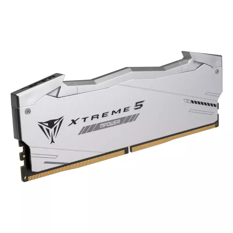 Patriot Viper Gaming RGB XTREME 5 DDR5-6000 RAM, CL 30, Intel XMP 3.0 - 48GB Dual-Kit, argento