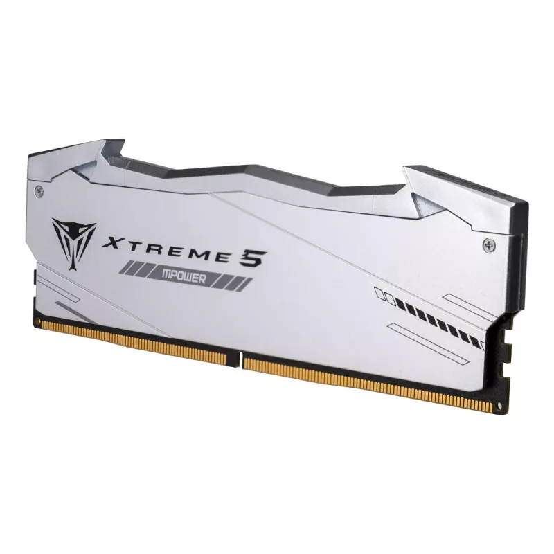 Patriot Viper Gaming RGB XTREME 5 DDR5-6000 RAM, CL 30, Intel XMP 3.0 - 48GB Dual-Kit, argento