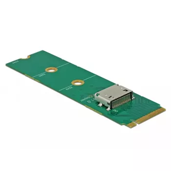 Scheda di interfaccia DeLOCK 64040