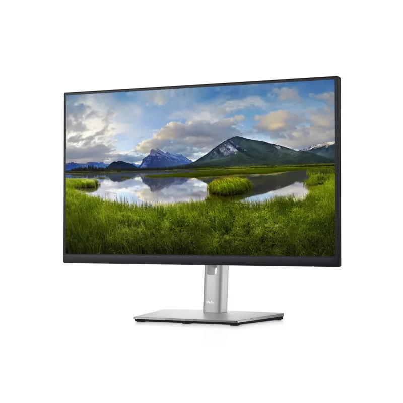 Monitor DELL P Series 24 USB-C Hub – P2422HE, 60,5 cm (23,8 inch), 1920 x 1080 pixel, Full HD, LCD, 8 ms, nero