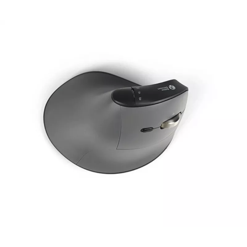 Mouse BakkerElkhuizen FastForward Pro, per destrimani, design verticale, ottico, RF wireless + Bluetooth + USB Type-C, 5000 DPI, nero, grigio