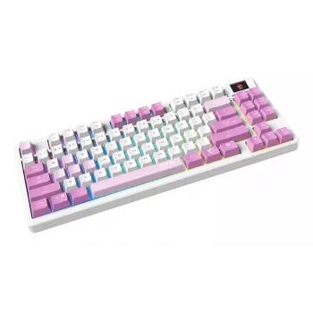 MSI FORGE GK600 TKL tastiera gaming wireless, QWERTZ DE, viola