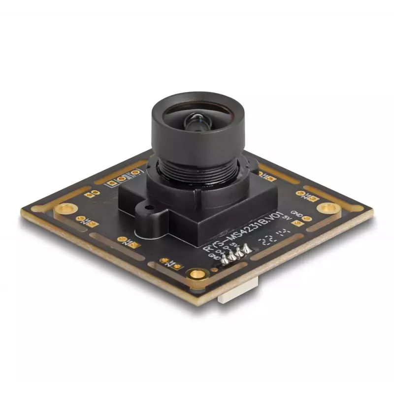 Webcam DeLOCK 12064 2,1 MP 1920 x 1080 USB 2.0 nero