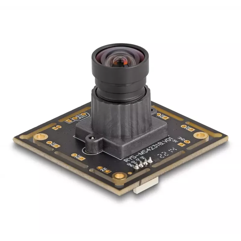 Webcam DeLOCK 12069 2,1 MP 1920 x 1080 pixel USB 2.0 nero