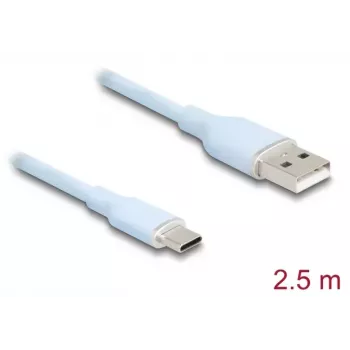 Cavo USB DeLOCK USB 2.0 2,5 m USB A USB C blu