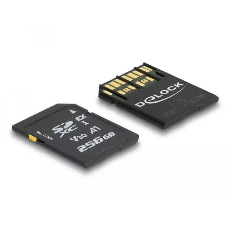 Scheda di memoria DeLOCK 256 GB SD UHS-I 54091