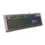 Tastiera gaming GENESIS Rhod 500 RGB USB QWERTY portoghese nero, argento