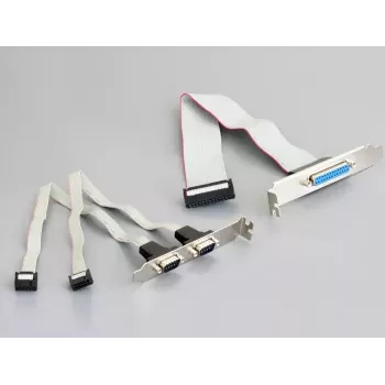 Scheda di interfaccia DeLOCK 95232