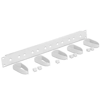 DeLock 43346 Pannello gestione cavi per rack da 19 pollici, 1U, grigio chiaro RAL 7035