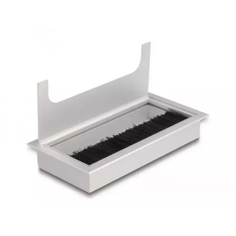 Passacavo DELOCK 66861 per scrivania, argento, 80×160×28 mm, 1 pz.