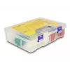 DeLOCK Scatola assortimento fascette con attrezzo di serraggio, 350 pz., multicolore