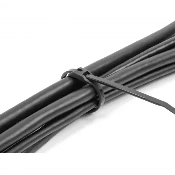 Fascette per cavi DeLOCK 19466 poliammide nero 205 mm 100 pezzi