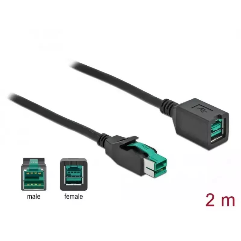 Prolunga USB powered DeLOCK 85981 12 V 2 m