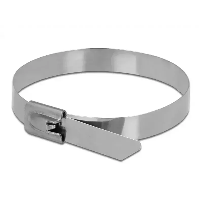 Fascette DeLOCK 18772 acciaio inox metallic 10 pz.