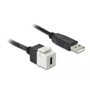 Modulo keystone DeLOCK 86382 piatto nero bianco USB C