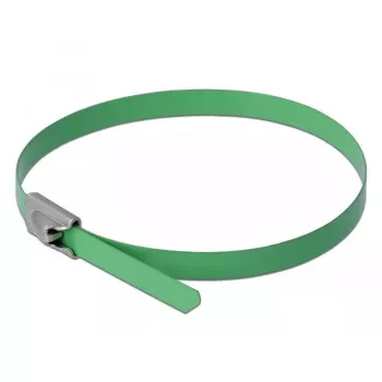Fascetta DeLOCK 18804 acciaio verde 500mm 10 pz.