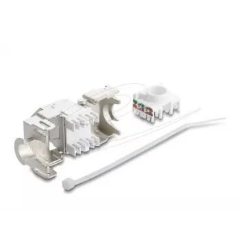 Delock 90938 Modulo Keystone da RJ45 a LSA Cat.6A, angolato a 45 gradi, schermato, passaggio cavo a 180 gradi, senza attrezzi