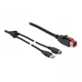 Cavo PoweredUSB DeLOCK 85941 24V USB Type-A Mini-DIN 2m