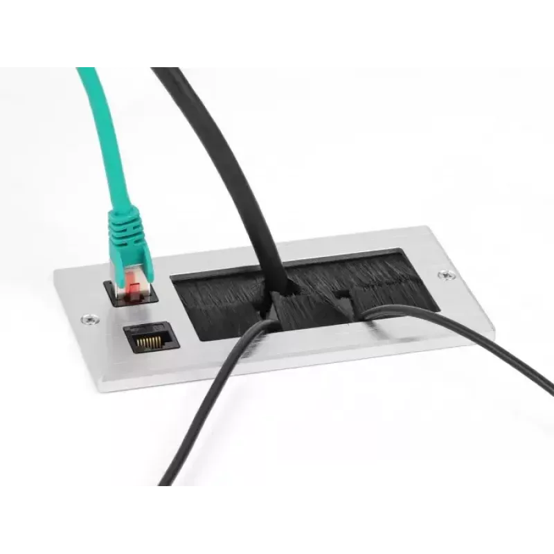 Passacavo DeLOCK con spazzola e 2 x modulo keystone RJ45 Cat.6 alluminio
