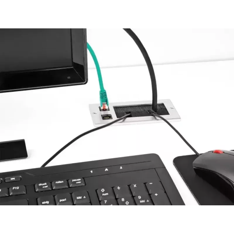Passacavo DeLOCK con spazzola e 2 x modulo keystone RJ45 Cat.6 alluminio