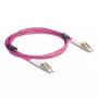 Cavo in fibra ottica DeLOCK LC Duplex su LC Duplex OM4 2 m
