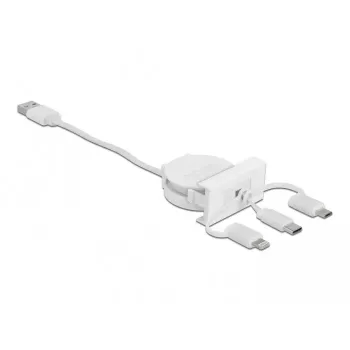 DeLOCK Easy 45 modulo USB 2.0 cavo estraibile 3-in-1 0,5 m