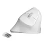 Mouse DeLOCK 12596 Office destrorso RF Wireless 1600 DPI