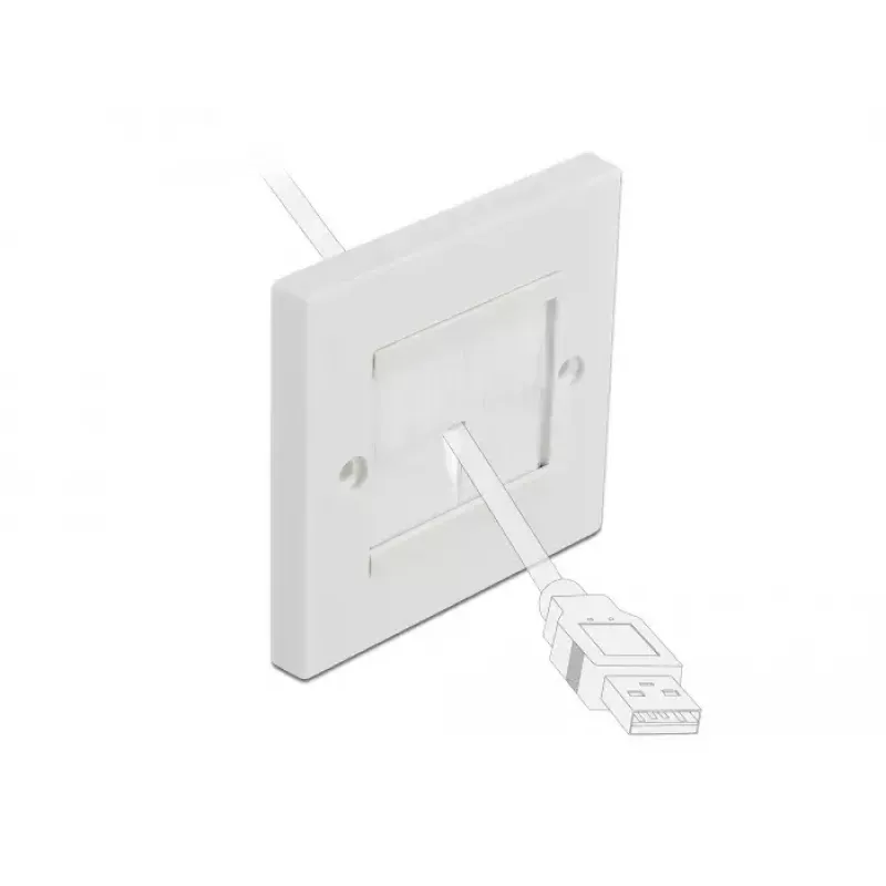 Piastra a parete DeLOCK 66495 bianco