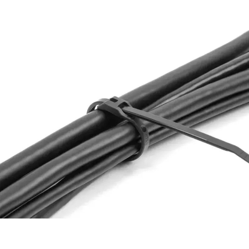 Fascetta fermacavo riutilizzabile DeLOCK 19467 poliammide nero 150 mm 100 pezzi