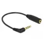 Cavo audio DeLOCK 0,175 m 3,5 mm/2,5 mm nero