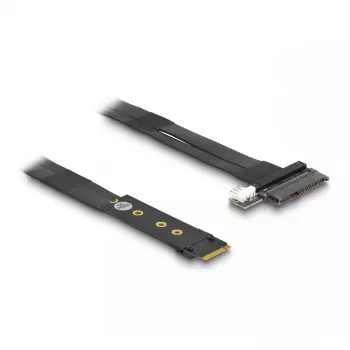 Adattatore DeLOCK M.2 Key M a U.2 SFF-8639 NVMe con cavo da 20 cm