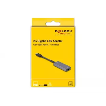 DeLOCK 66248 adattatore cavo RJ-45 USB C grigio 0,09m