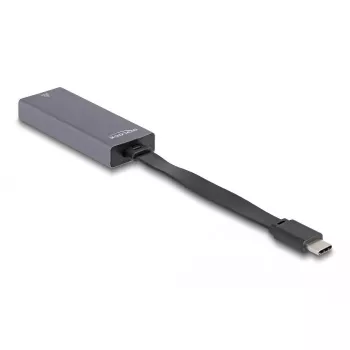 DeLOCK 66248 adattatore cavo RJ-45 USB C grigio 0,09m