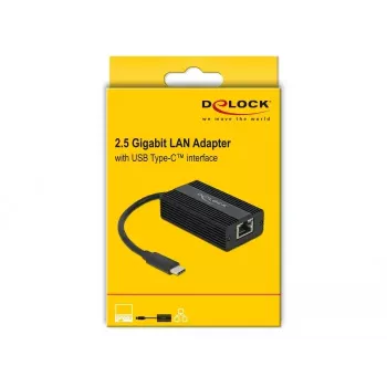 DeLOCK 65990 adattatore da USB Type-C a LAN 2,5 Gigabit, nero