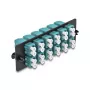 DeLOCK pannello adattatore fibra ottica LC Duplex OM4 12 porte aqua