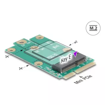 DeLOCK 64338 adattatore interno M.2 Mini PCI Express maschio