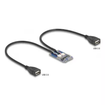 DeLOCK 64346 adattatore interno USB 2.0 Mini PCI Express maschio