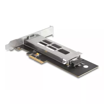 DeLOCK Mobile Rack scheda PCI Express per 1 x SSD M.2 NVMe Low Profile