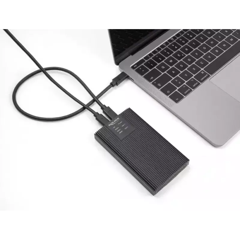 Case per SSD DeLOCK 42022 Case esterno USB 20 Gbps per 2 x SSD M.2 NVMe PCIe
