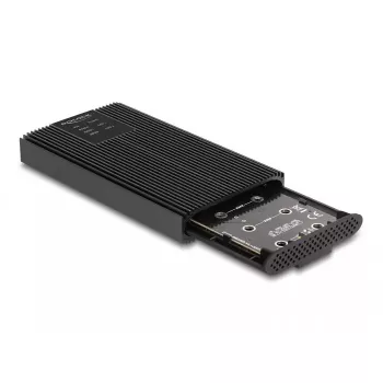 Case per SSD DeLOCK 42022 Case esterno USB 20 Gbps per 2 x SSD M.2 NVMe PCIe