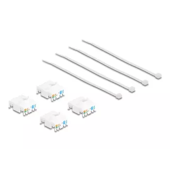 Modulo Keystone DeLOCK 86051 piatto RJ-45 bianco 4 pezzi