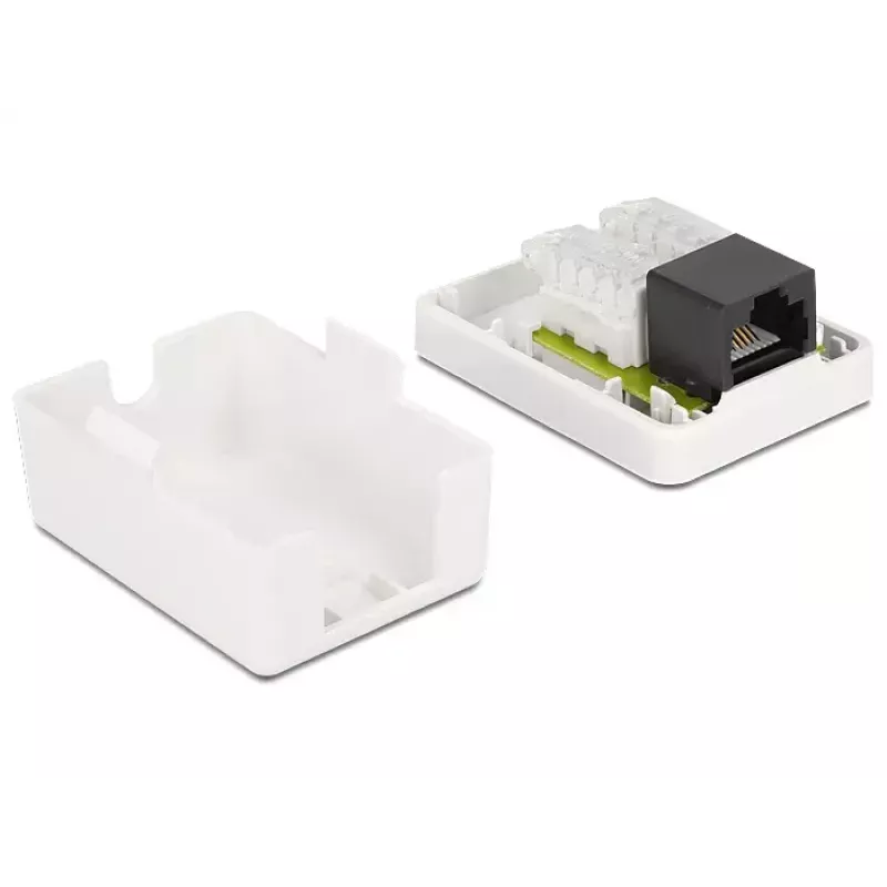 Presa a parete DeLOCK 86248 bianco 52mm x 25,5mm x 39mm