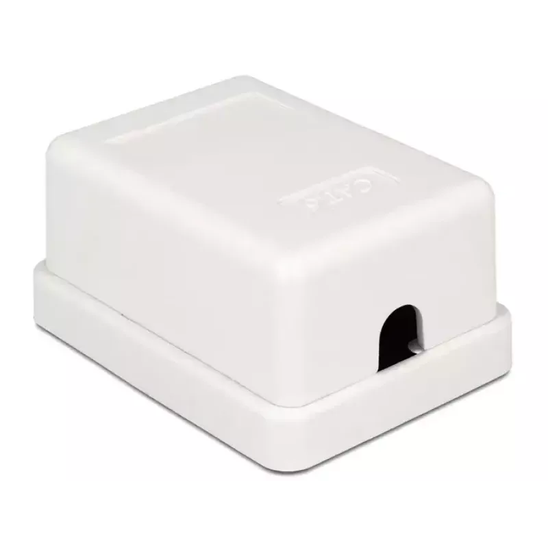 Presa a parete DeLOCK 86248 bianco 52mm x 25,5mm x 39mm