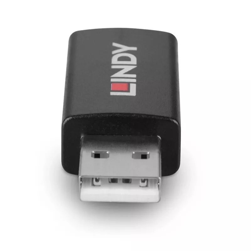 Lindy 71263 adattatore USB USB Type-A nero