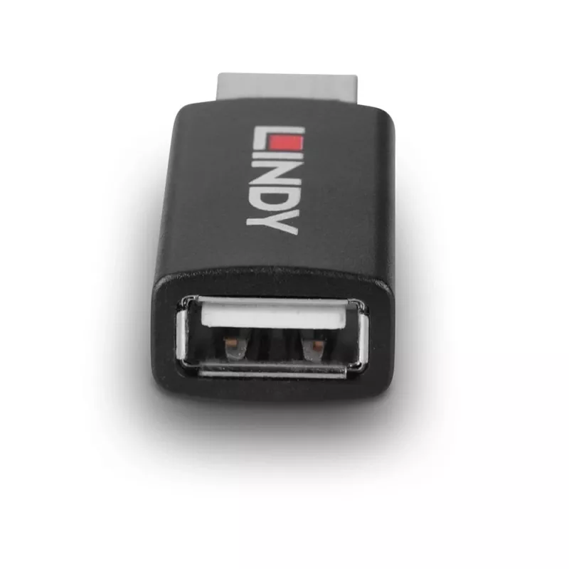 Lindy 71263 adattatore USB USB Type-A nero